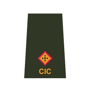 CIC SLt, Tenue de service