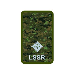 LSSR, 2Lt, CADPAT Badge