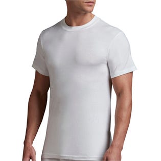 T-shirt à encolure ras du cou Stanfields pour hommes, coton haut de gamme, 2 paquets (EA1)