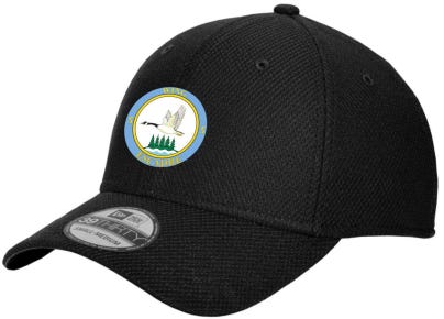 New new arrivals era l