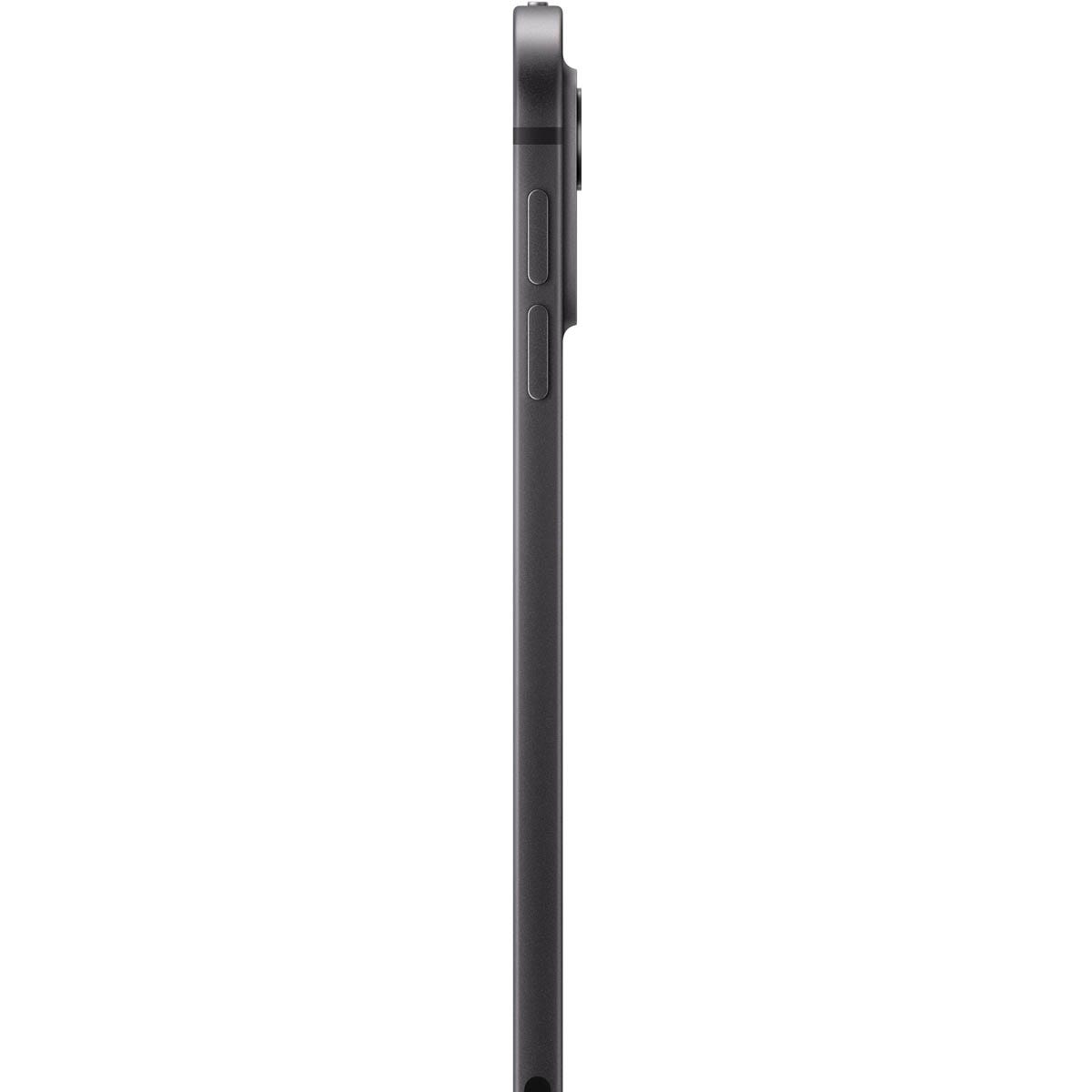 Apple 11