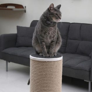 Primetime Petz MaxScratch Cat Post & Perch Black PT55114 (EA1)