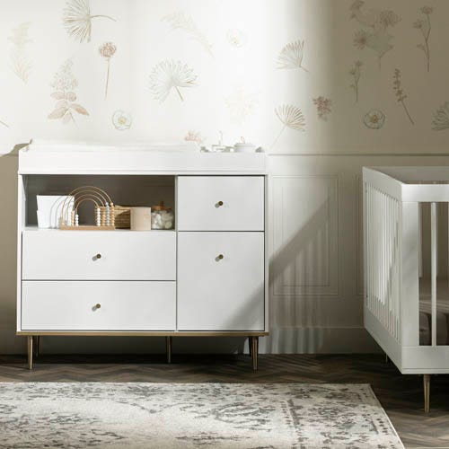 dylane collection