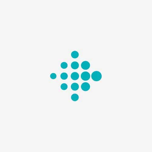 Fitbit Logo