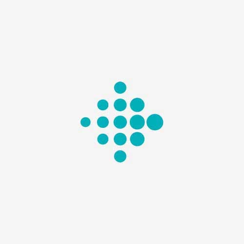 Fitbit Logo