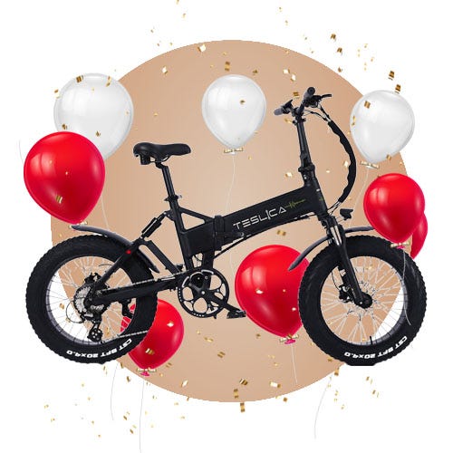 Teslica e-bikes